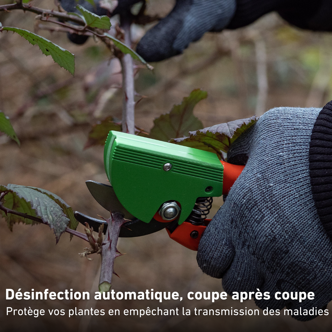 Discovery pack: pruner + disinfectant cartridge