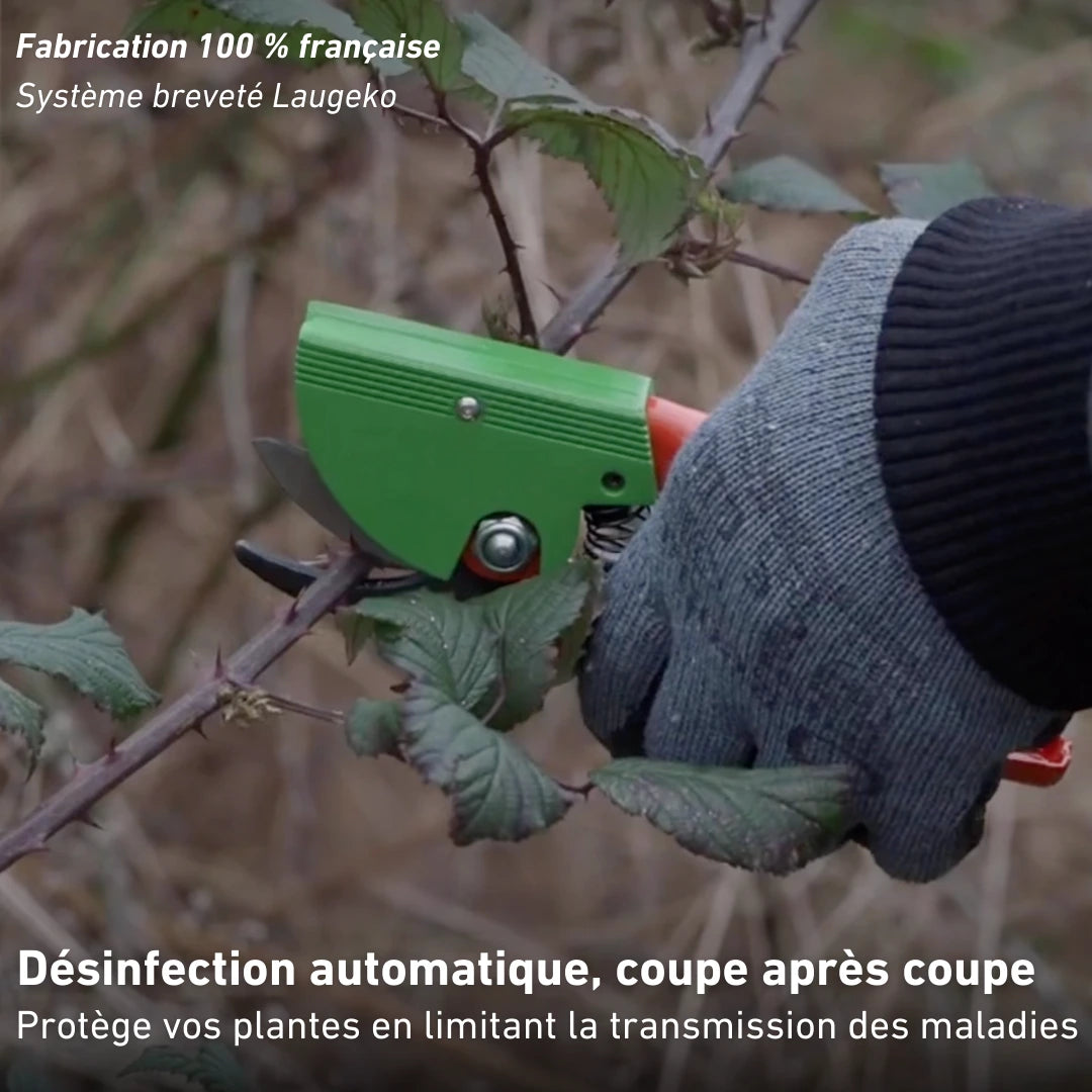 Disinfectant cartridge for pruning shears