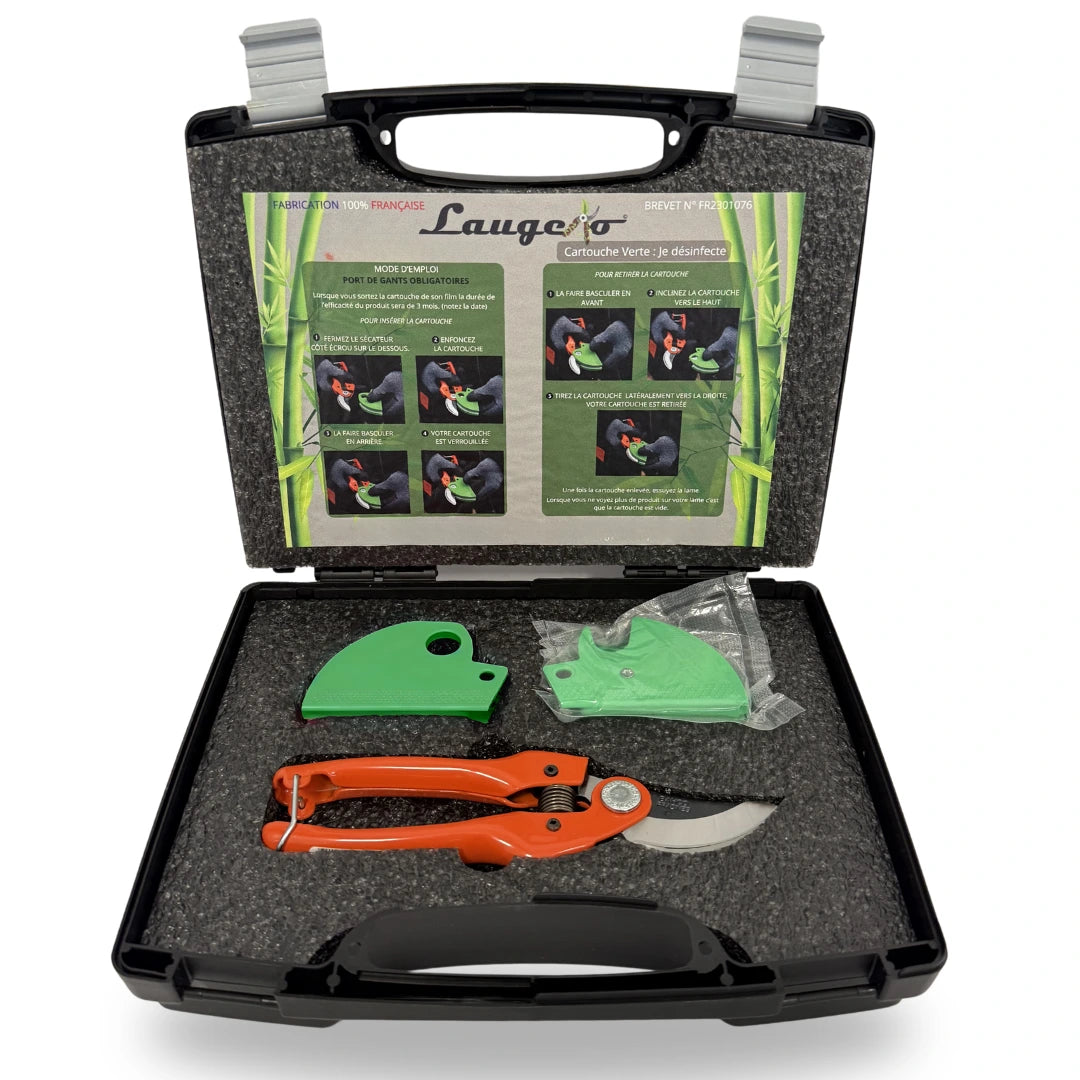 Premium pack: 1 year of protection