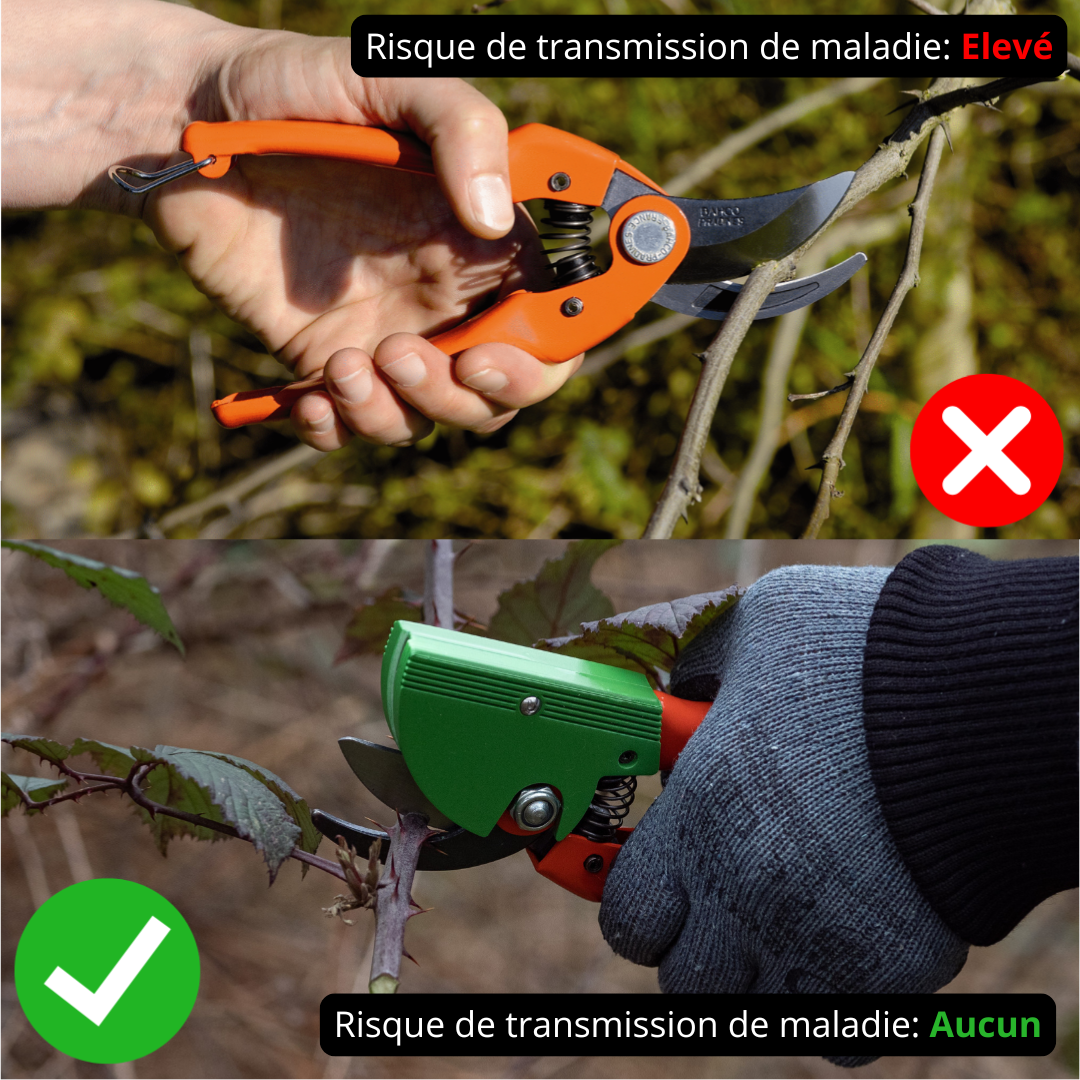 Discovery pack: pruner + disinfectant cartridge