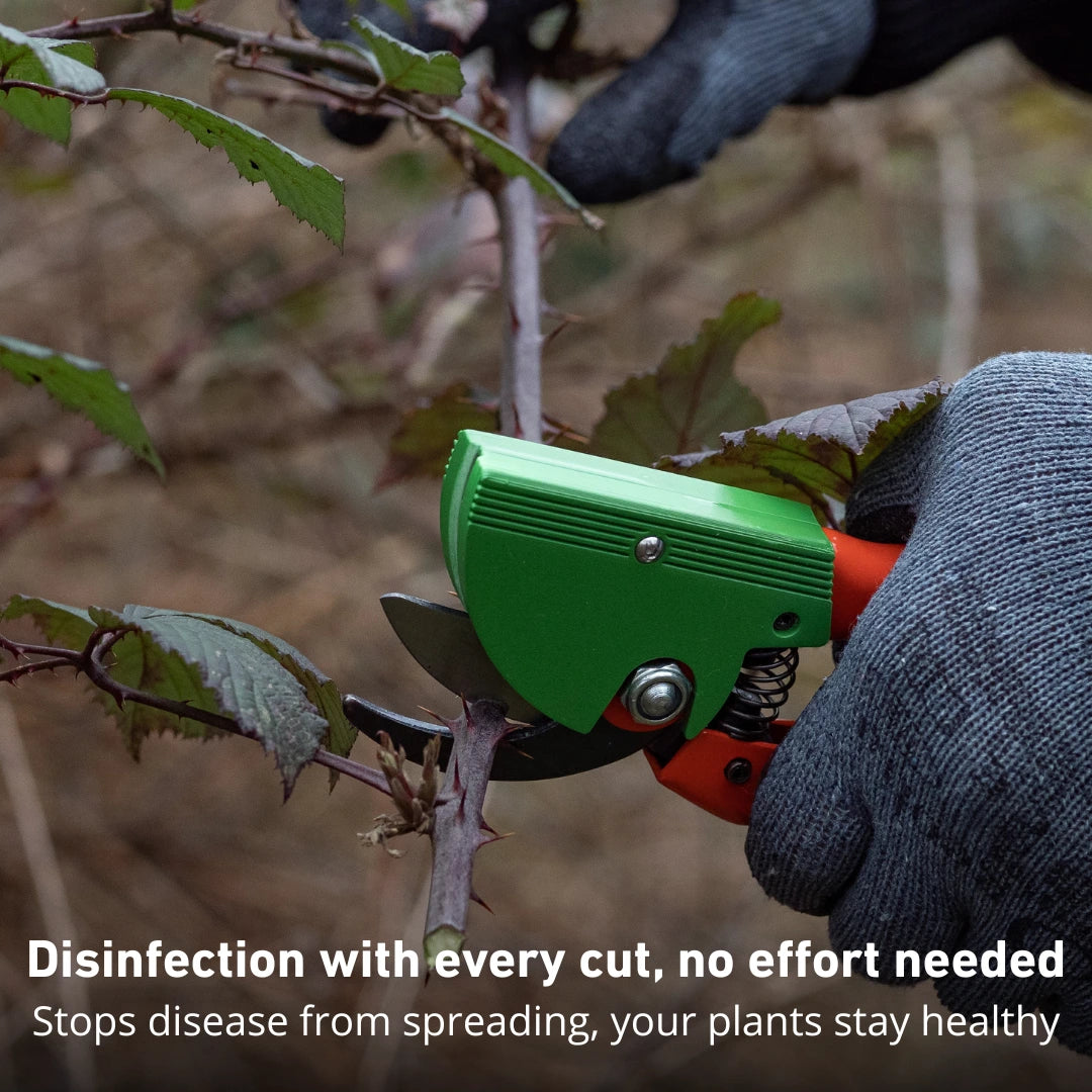 Starter Pack: Pruner + Disinfectant Cartridge