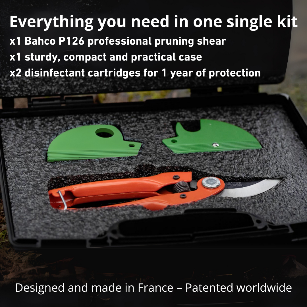 Premium Pack: 1 Year of Protection + Total Peace of Mind